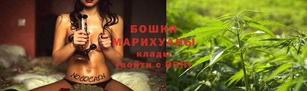 дурь Заводоуковск