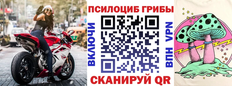Псилоцибиновые грибы Magic Shrooms  Каменногорск 