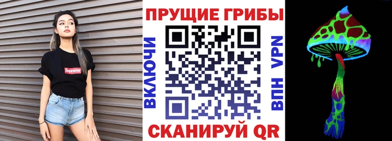 Галлюциногенные грибы GOLDEN TEACHER Каменногорск